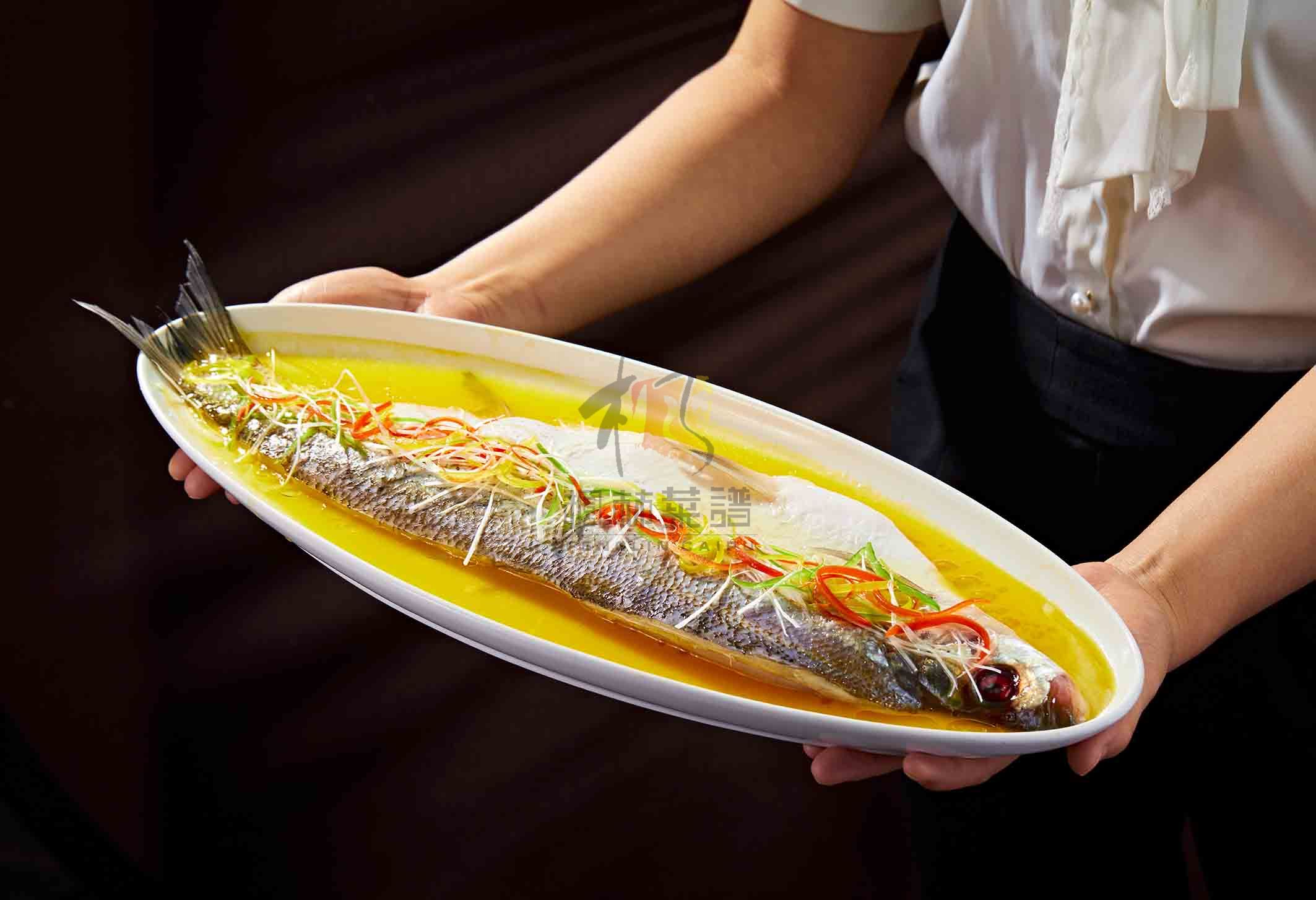 R2386长江大白条