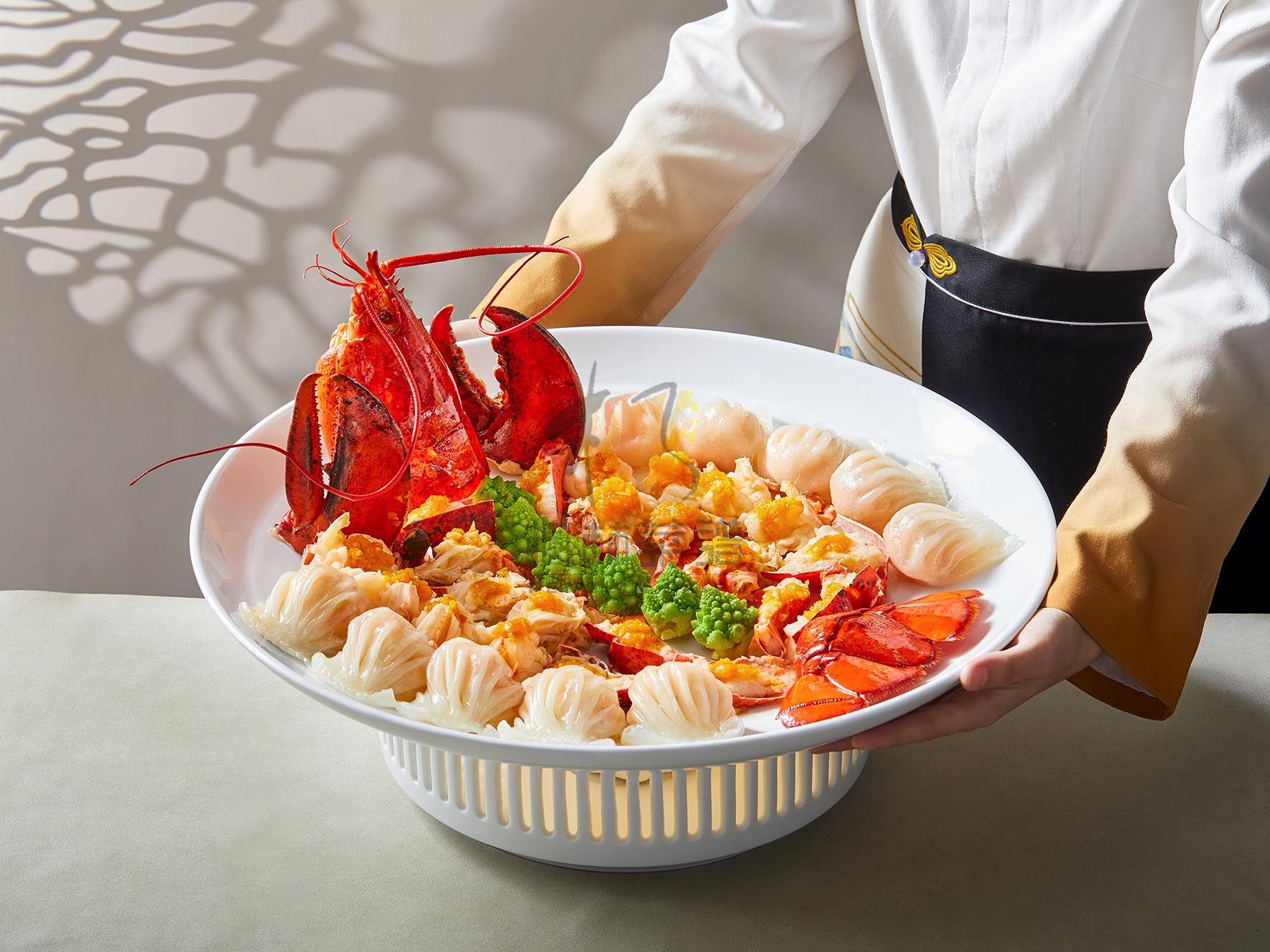 R2845波士顿龙虾